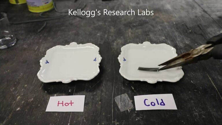 Kellogg Research Labs