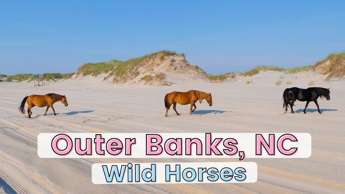 best places to visit in june usa beach